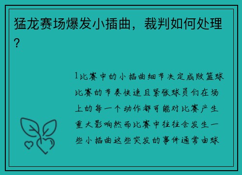 猛龙赛场爆发小插曲，裁判如何处理？